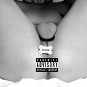 Anillo Para el Pene con 4 Placas de Identificación - Tienda erótica sexshop - xr play hard