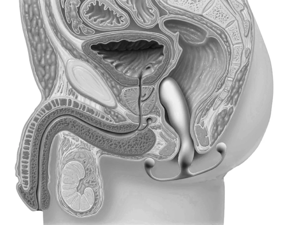 Aneros: la revolución del placer prostático que redefine la masculinidad — ahora en Chile con Dominame.cl