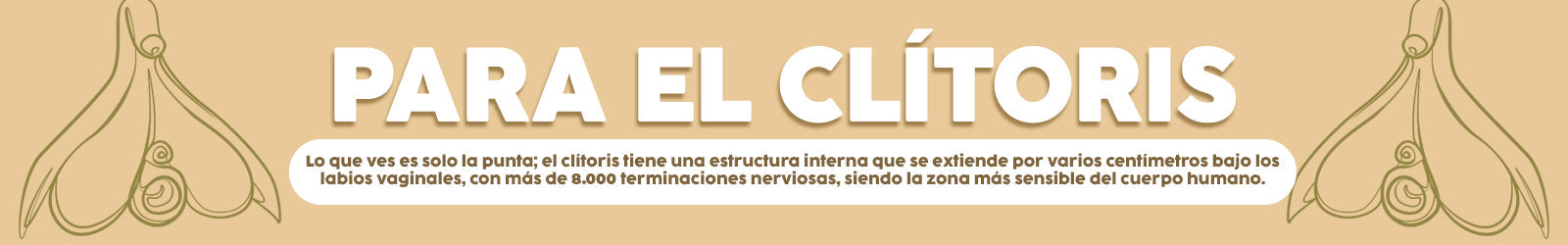 PARA EL CLITORIS - JUGUETES LELO - SUCCIONADORES DE CLITORIS - JUGUETES PARA ADULTOS