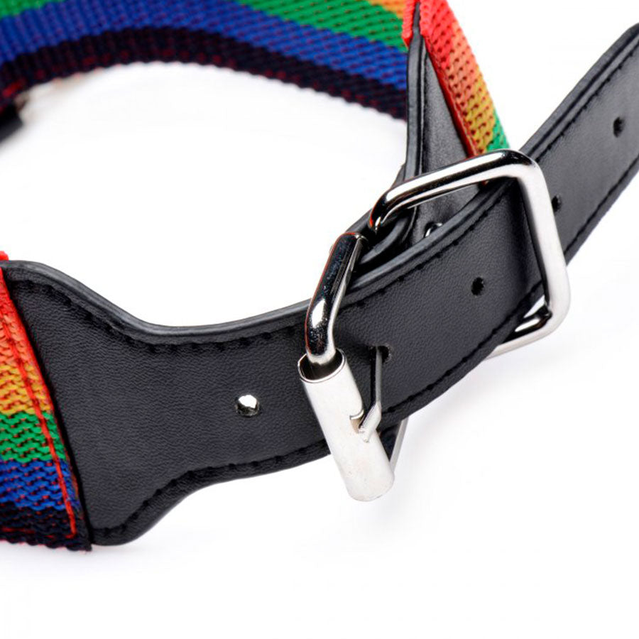 Kinky Pride Rainbow Bondage Set - Master series - XR Play Hard - Prueba una nueva experiencia en nuestro Sex Shop