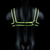 Arnes bulldog glow in the dark de Ouch! - kynk - Bondage - Sexshop Dominame.cl - OU762GLOL