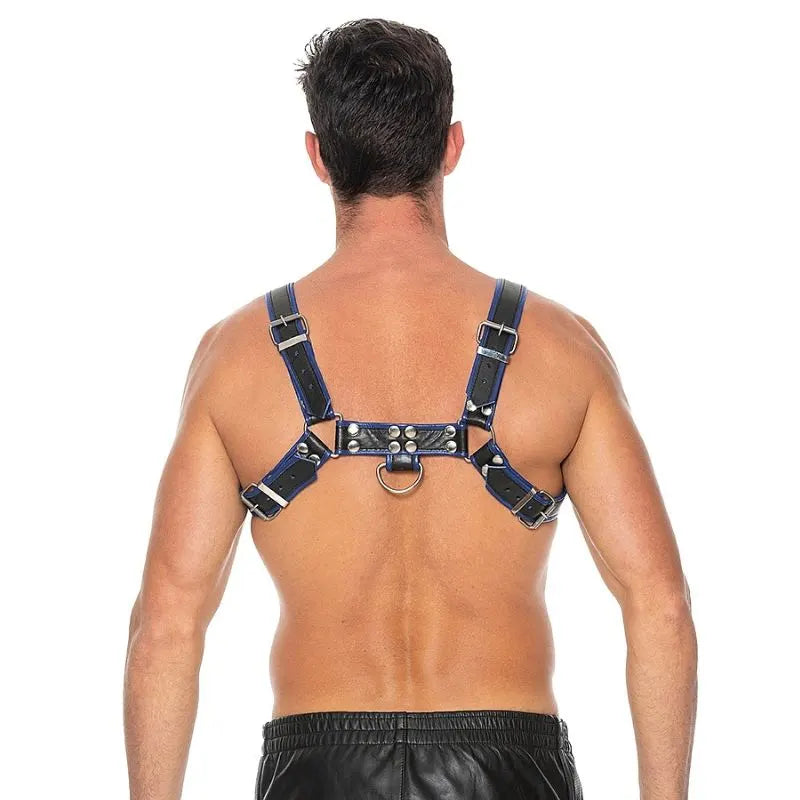 Arnes de pecho bulldog - azul- de Ouch! - kynk - Bondage - Sexshop Dominame.cl - OU561BLU
