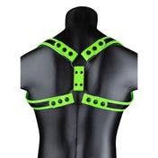 Arnes - glow in the dark de Ouch! - kynk - Bondage - Sexshop - Dominame.cl - OU775GLOL