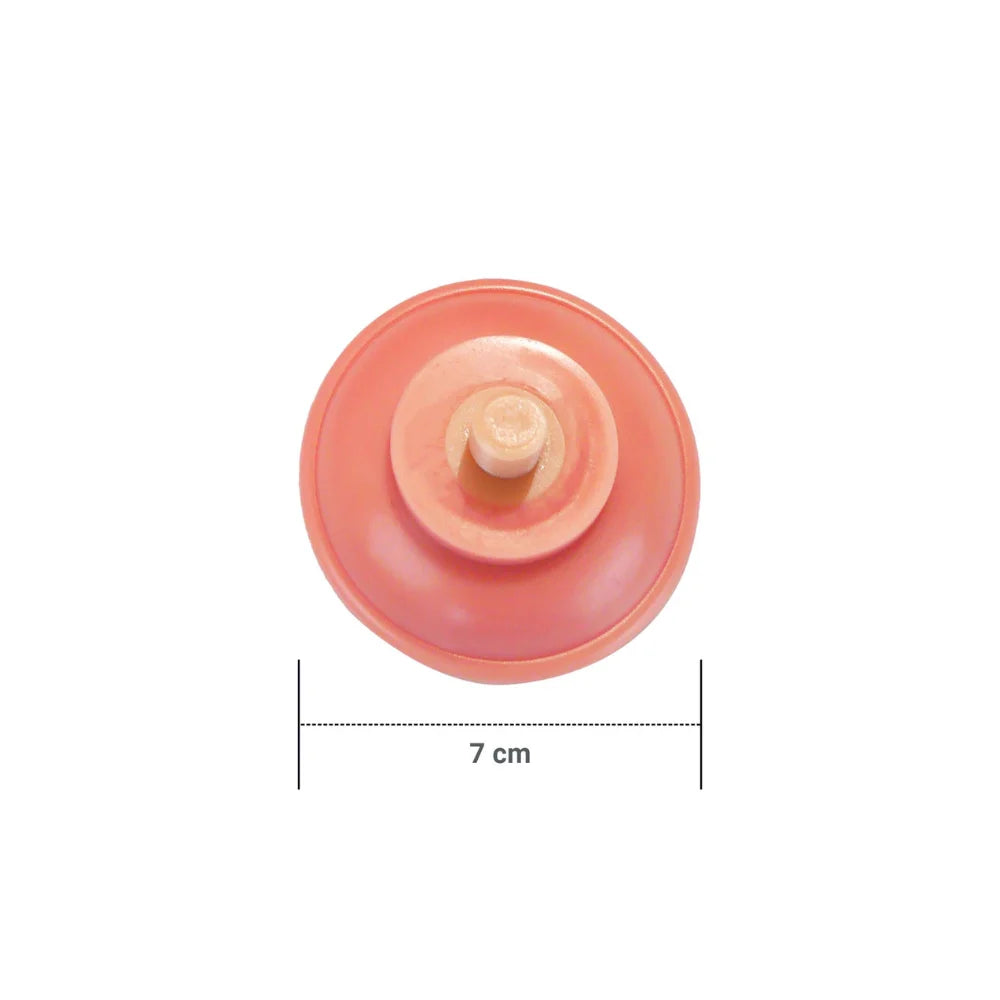 Dildo Realista Influencers sexshop dominamecl dildos tienda de juguetes para adultos dominamecl