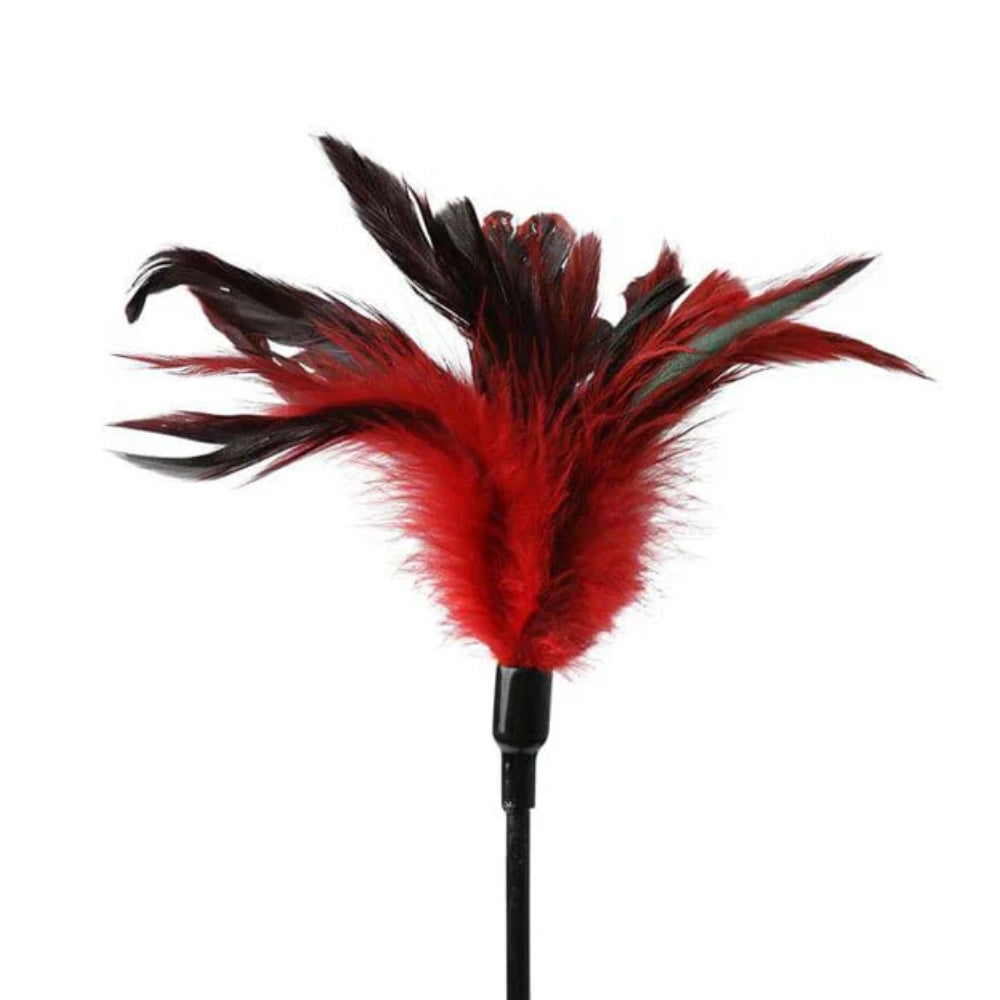 fusta doble - fusta con pluma - fusta de cuerina - plumas rojas - masoquismo - bdsm - golpe suave -  inicio de sumision - principiante bdsm - SportSheets - dominame - sexshop dominame 