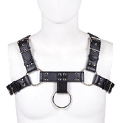 Harness Eros 2.0 - BDSM - SexShop - Placer - Deseo - Fantasía - Pareja - Sexual - Dominar - Erótico - Juguetes