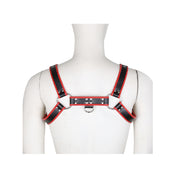 Harness Passion - SexShop - Santiago - Cosmética - Lencería - Erótica - Adulto - Juguetes - Placer - Sexy - Fantasía
