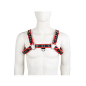 Harness Passion - SexShop - Santiago - Cosmética - Lencería - Erótica - Adulto - Juguetes - Placer - Sexy - Fantasía