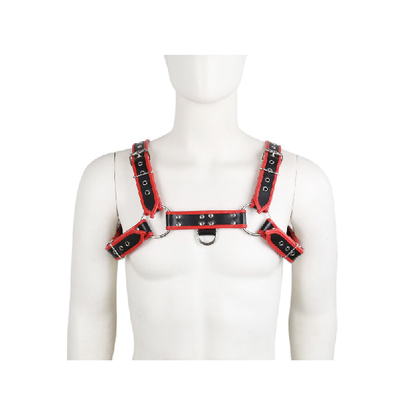 Harness Passion - SexShop - Santiago - Cosmética - Lencería - Erótica - Adulto - Juguetes - Placer - Sexy - Fantasía