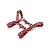 Harness Passion - SexShop - Santiago - Cosmética - Lencería - Erótica - Adulto - Juguetes - Placer - Sexy - Fantasía