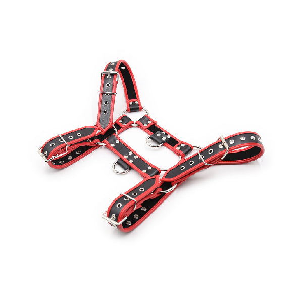 Harness Passion - SexShop - Santiago - Cosmética - Lencería - Erótica - Adulto - Juguetes - Placer - Sexy - Fantasía
