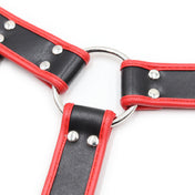Harness Passion - SexShop - Santiago - Cosmética - Lencería - Erótica - Adulto - Juguetes - Placer - Sexy - Fantasía