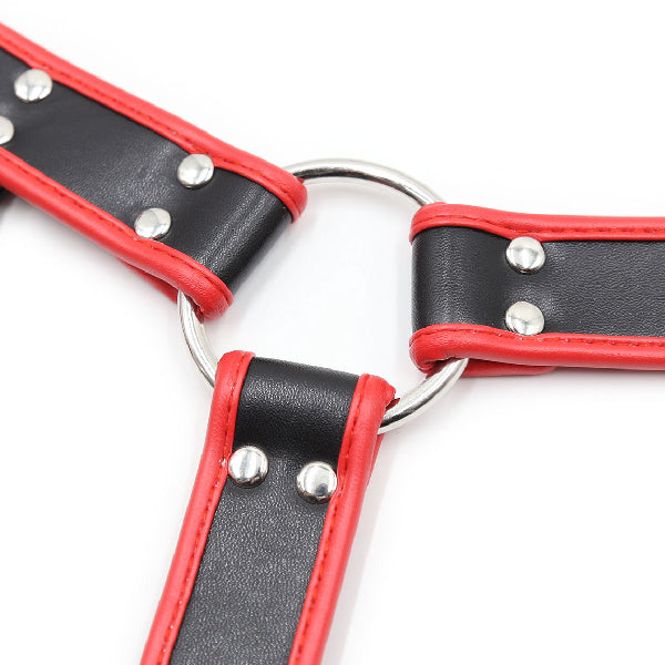 Harness Passion - SexShop - Santiago - Cosmética - Lencería - Erótica - Adulto - Juguetes - Placer - Sexy - Fantasía