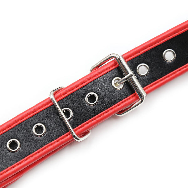 Harness Passion - SexShop - Santiago - Cosmética - Lencería - Erótica - Adulto - Juguetes - Placer - Sexy - Fantasía