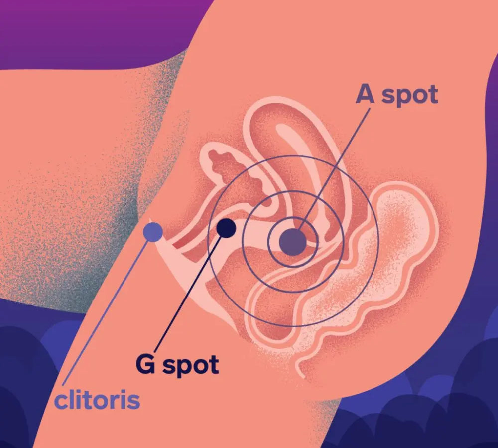 LELO - enigma double sonic - estimulación vaginal - succionador de clitoris - vibrador de punto g - ondas sonicas - estimulacion de punto A -  silicona médica - morado - celeste - juguete de alta gama - sexshop dominame