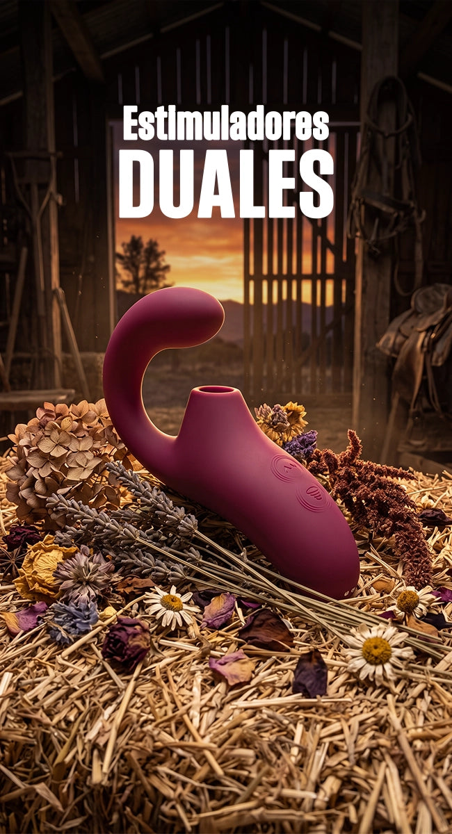 Vibrador dual y succionador de clítoris para estimulación simultánea del punto G Compra juguetes eróticos de silicona médica recargables en Chile con múltiples modos de vibración y envío discreto a todo el país